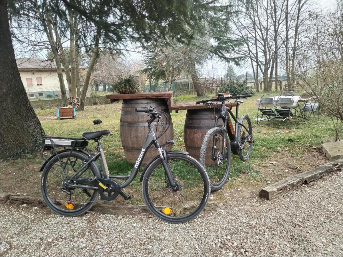 Agriturismo Le Oche Selvatiche Lauzacco Exterior foto