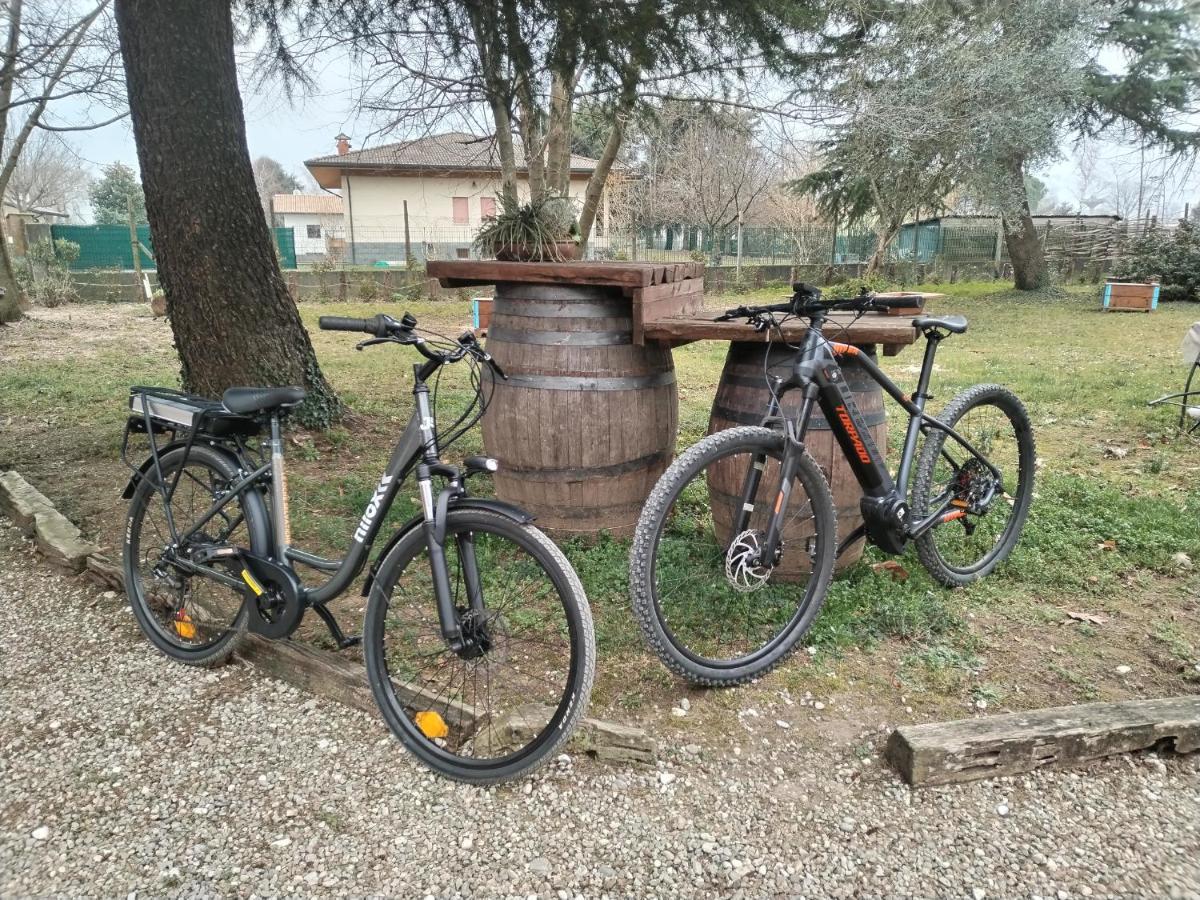 Agriturismo Le Oche Selvatiche Lauzacco Exterior foto